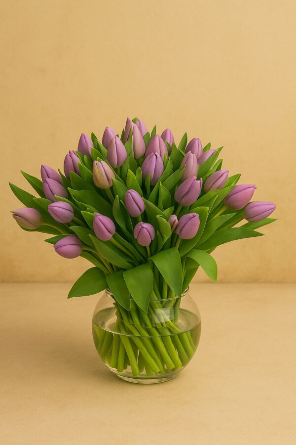 Purple Tulips