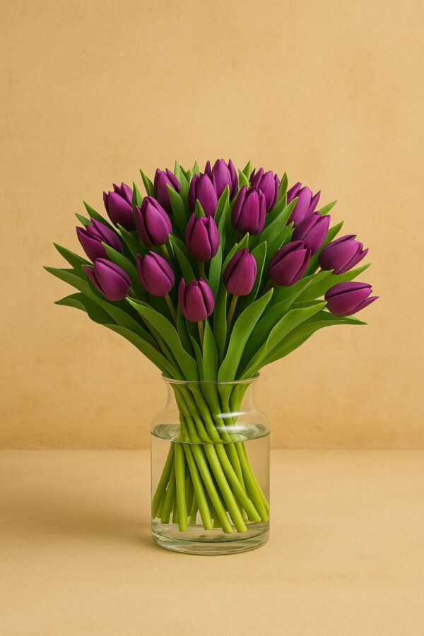 Purple Tulips