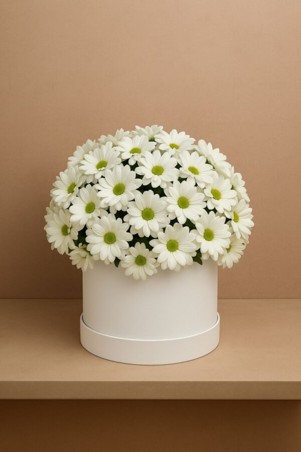 Flowers Box | Chrysanthemums