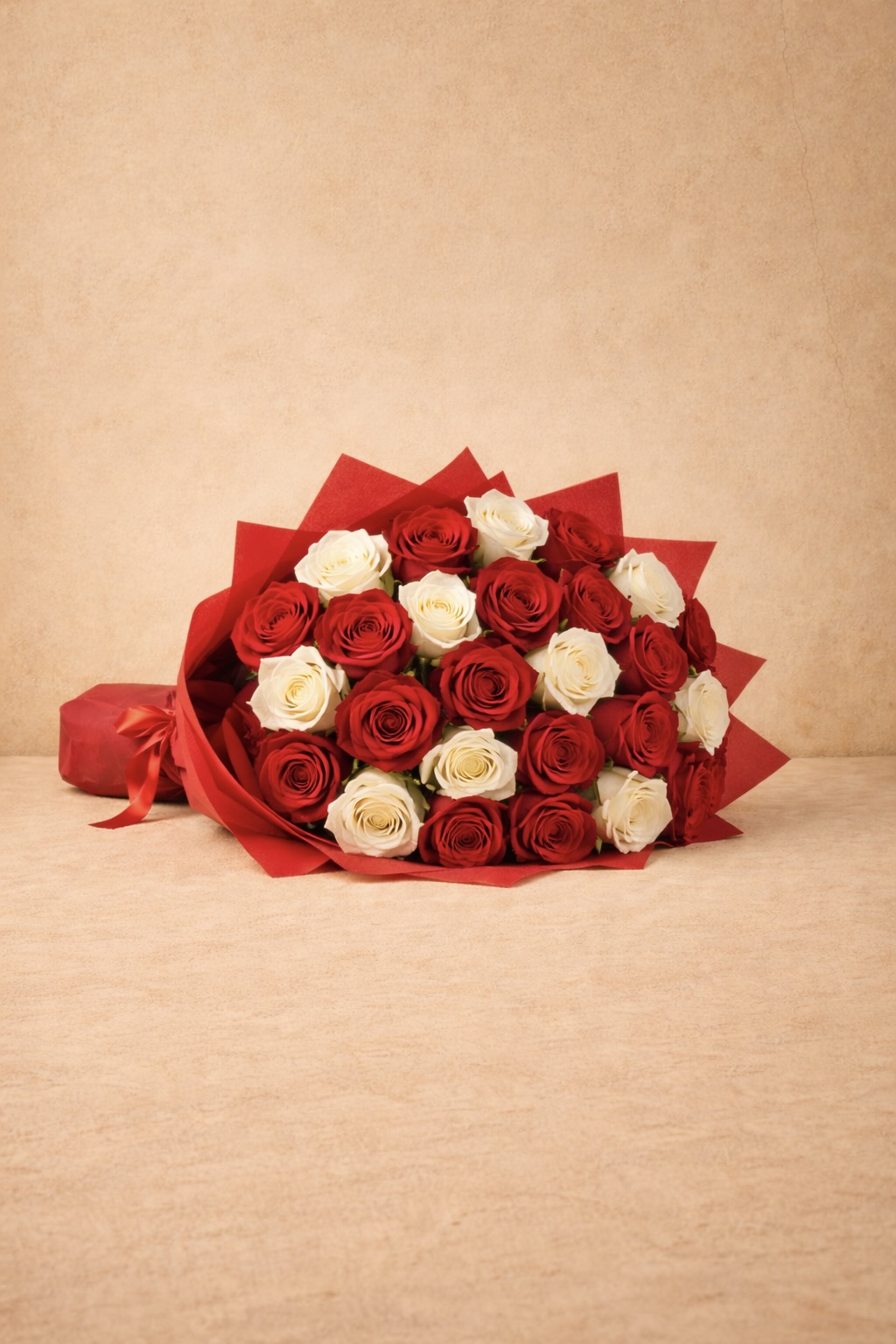 White and Red Roses |A048