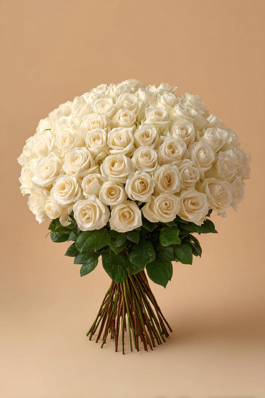 150 Classic white roses