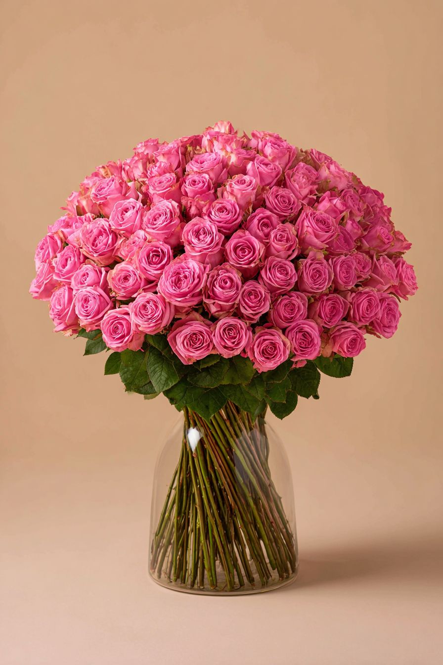 150 Classic pink roses