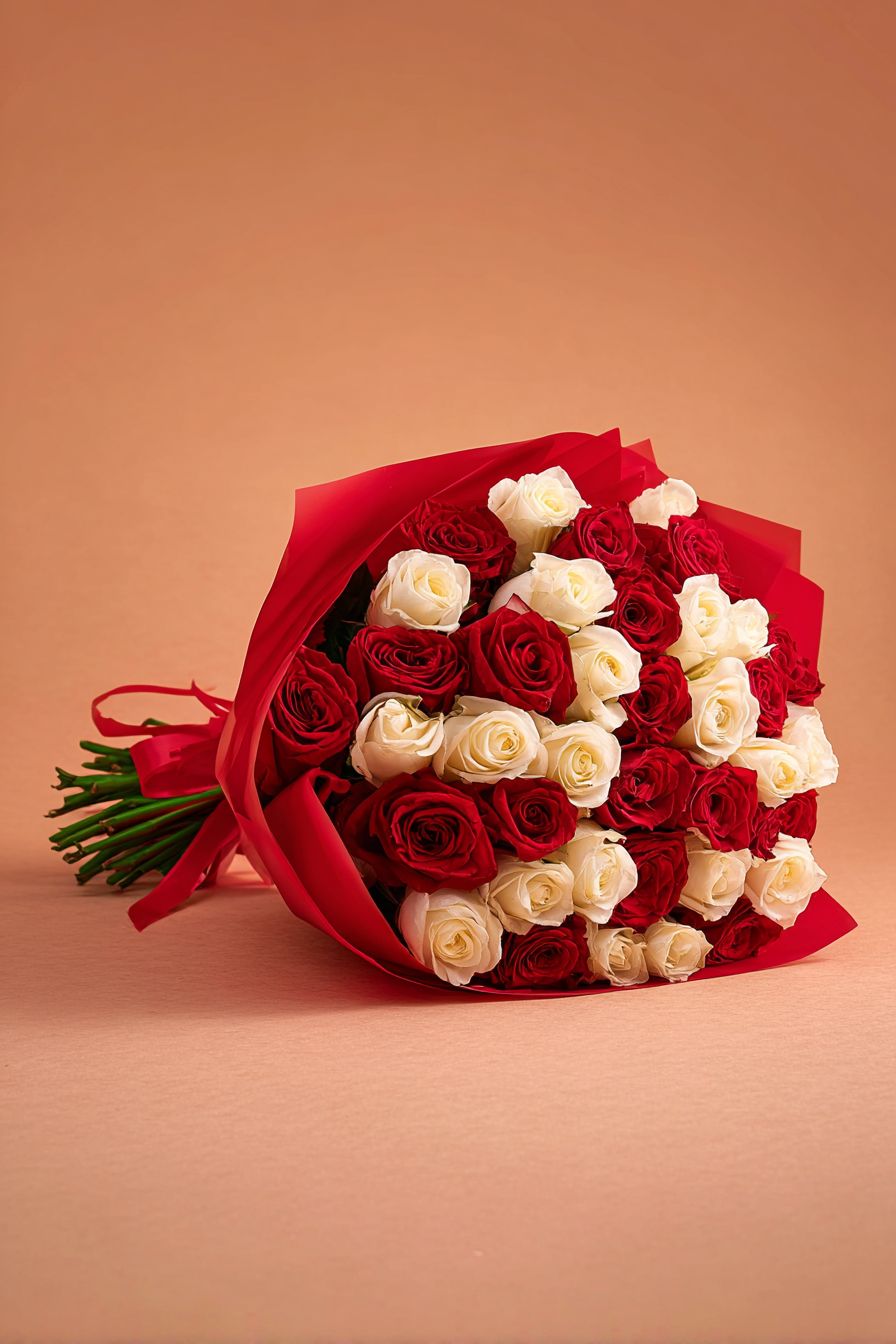 White and Red Roses |A048