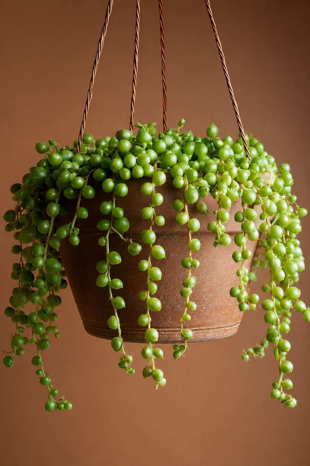String-of-pearls |E05
