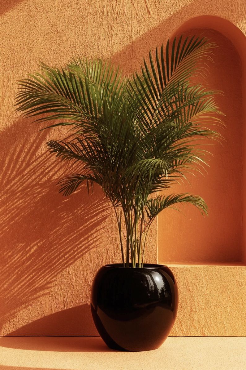 Palm Tree Size24 | B011