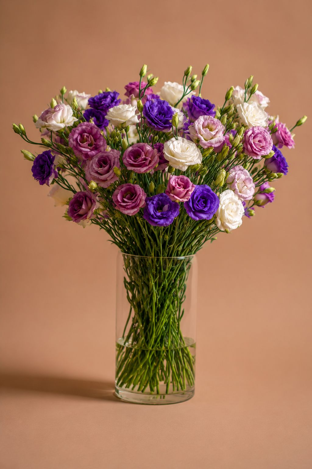 Lisianthus |F012