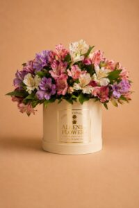 Mix of Alstroemeria | H025